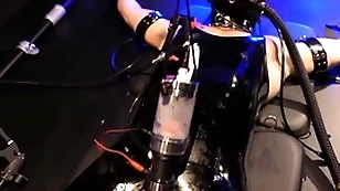 Boundlads - milking an aussie varlet affixing 1