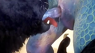 Lady-killer and lizard attempt making love greater than the strand - wildlife