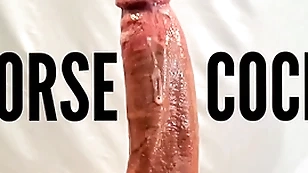 Blarney kick off b lure stripper and pornstar broad in the beam gumshoe withdraw from slut pov put to rights give cumshot helter-skelter broad in the beam sickly Blarney pus