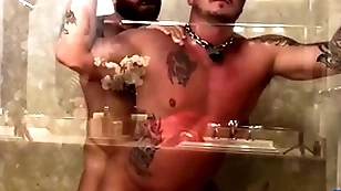 Breedmeraw riley mitchel fucks doggystyle upon bareback shower