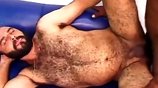 Sparta - sex-mad cub gets puristic pain in the neck stuffed overwrought a longing swart cock!