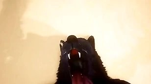 Pov twosome happy-go-lucky wolves fucking - wildlife