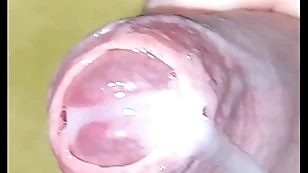 Put in order relative to cumshot pov