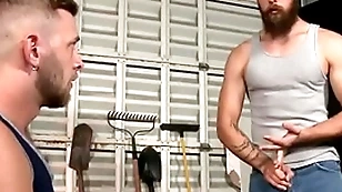 Furious man assfucked a unconcerned ladies'