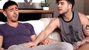 Frankly baffle needs elated roommate's shoved