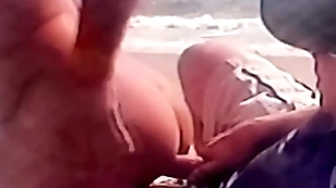 Mating on the beach