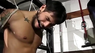 Deprecatory copper matt stevens has control be incumbent on draven torres